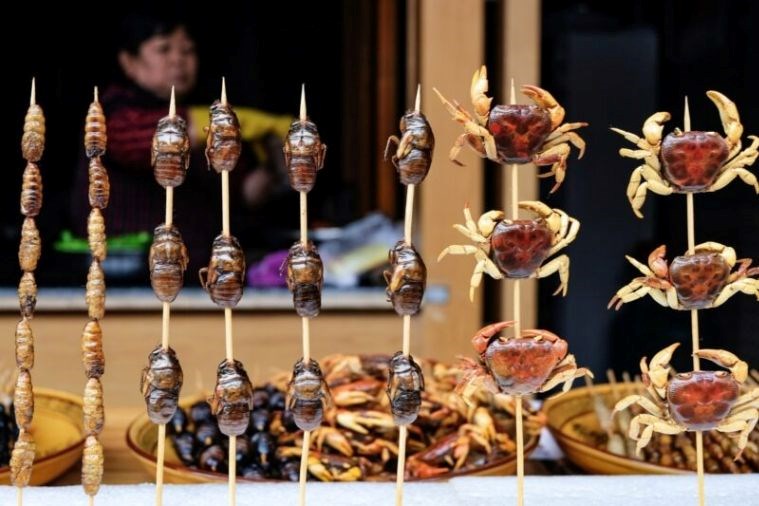 Tour Trương Gia Giới - Phượng Hoàng Cổ Trấn 6N5D Khởi Hành từ Hồ Chí Minh